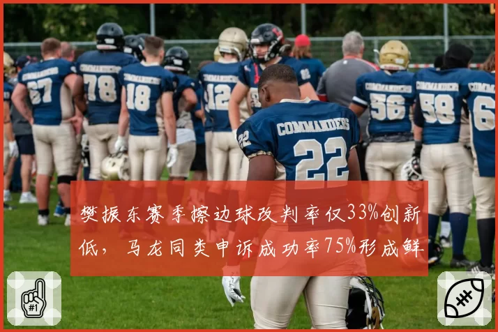 樊振东赛季擦边球改判率仅33%创新低，马龙同类申诉成功率75%形成鲜明反差