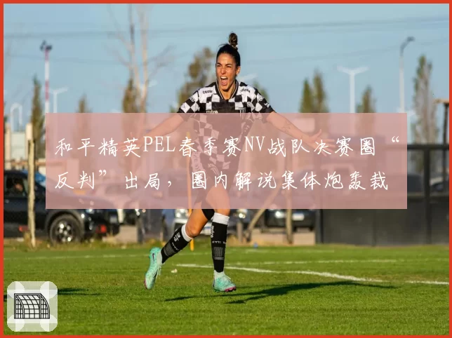 和平精英PEL春季赛NV战队决赛圈“反判”出局，圈内解说集体炮轰裁判尺度