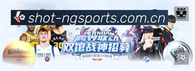 NG体育安全运营支持